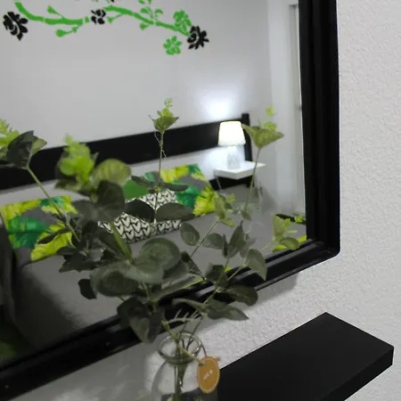 公寓 Surycan Tropical Garden 普拉亚戴尔雷安格莱斯